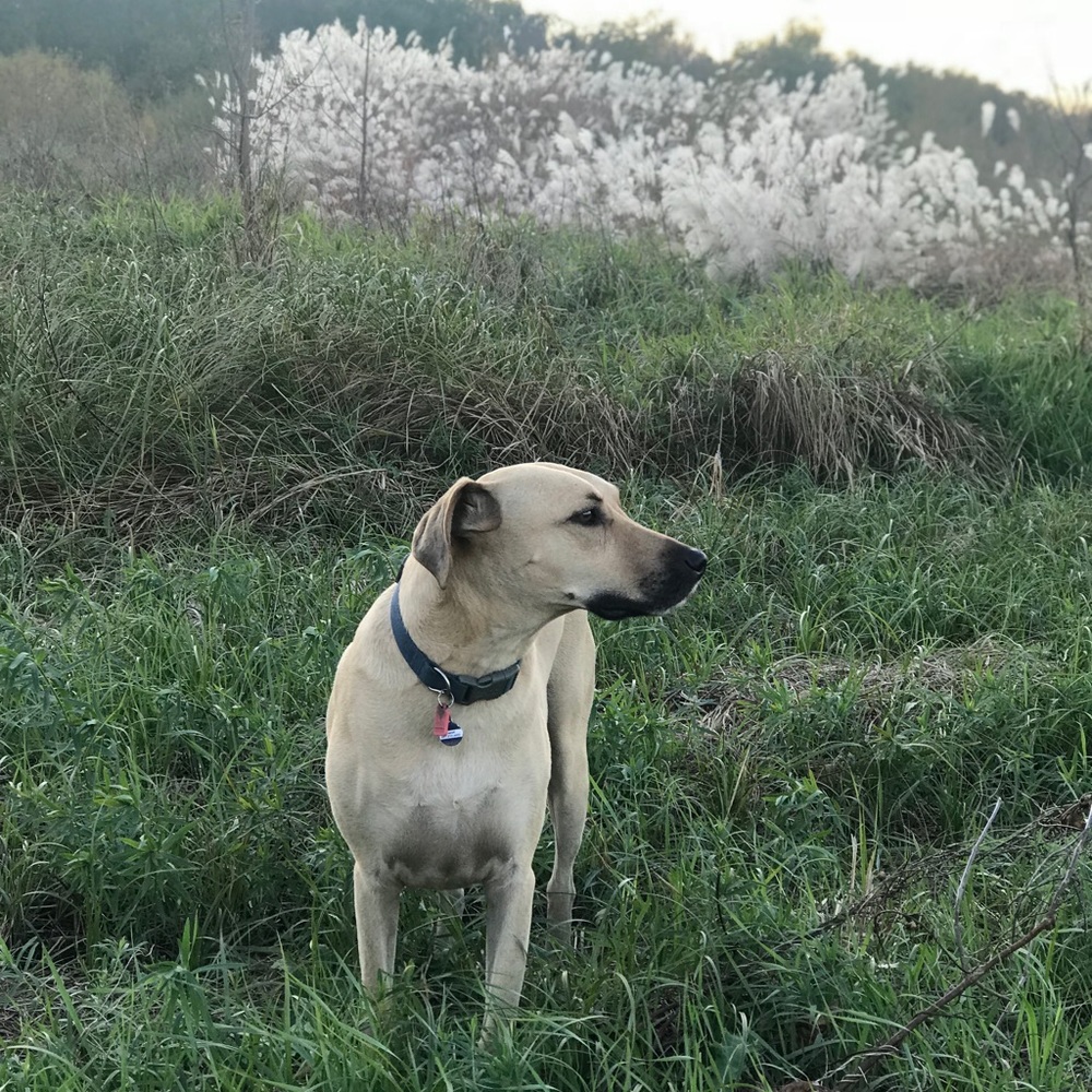 MEET ME 😊 - Picture 5 of 6